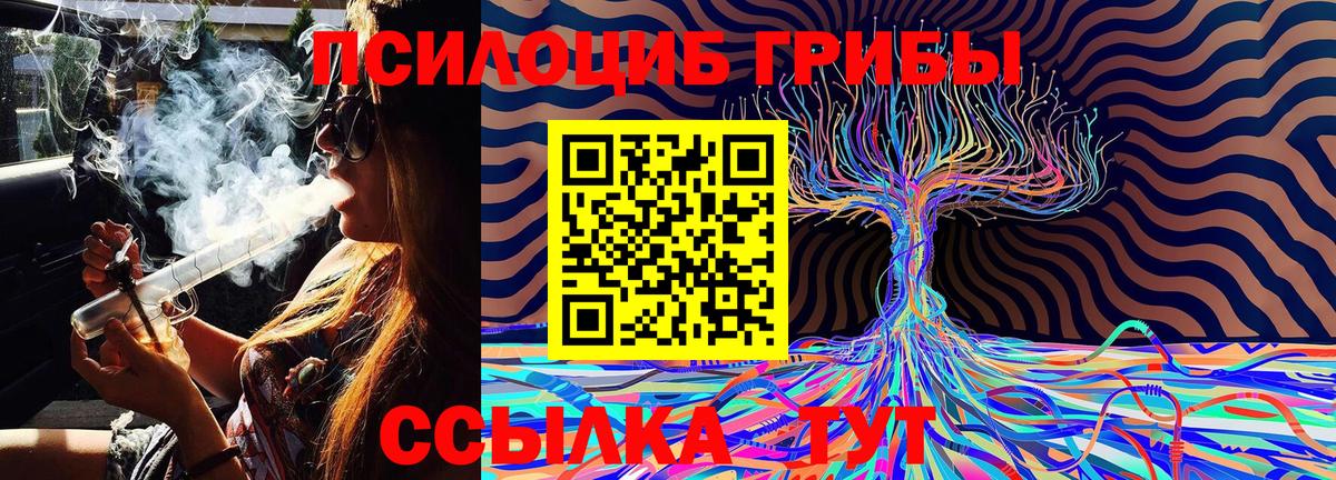 Галлюциногенные грибы MAGIC MUSHROOMS  Вход с VPN  купить наркотик  Урус-Мартан 