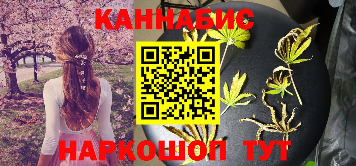 Каннабис индика Урус-Мартан